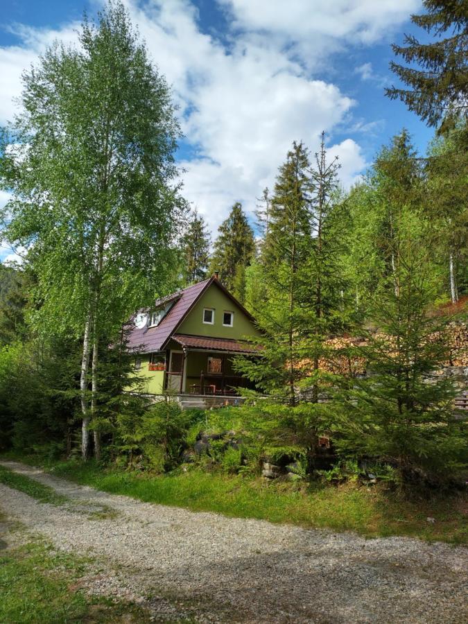 Green House Gheorgheni  Eksteriør bilde